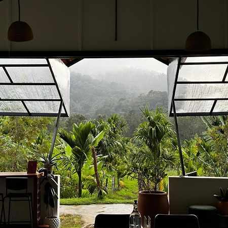 Bendheka - Cliff Front Cottages Coorg Gonikoppal Exteriér fotografie