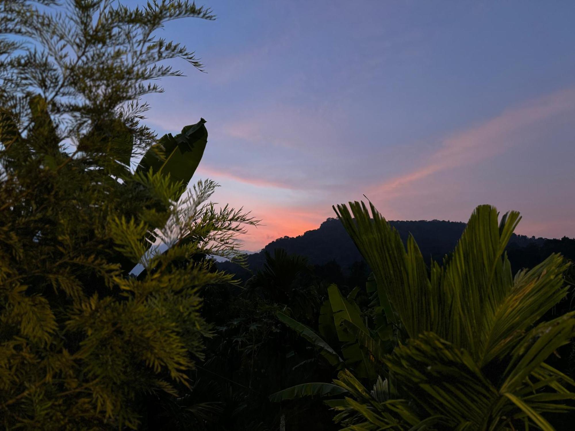 Bendheka - Cliff Front Cottages Coorg Gonikoppal Exteriér fotografie